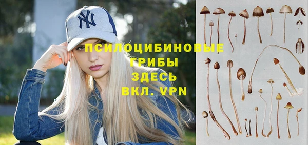 мяу мяу мука Белая Калитва