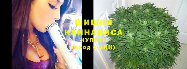 прущая мука Михайлов