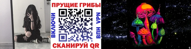 цена   Петровск-Забайкальский  omg как зайти  Галлюциногенные грибы GOLDEN TEACHER 